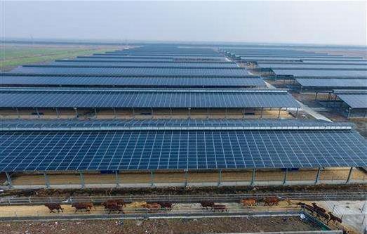 2019年，預計全社會用電量同比增長5%-8%，增長7%的概率較大??