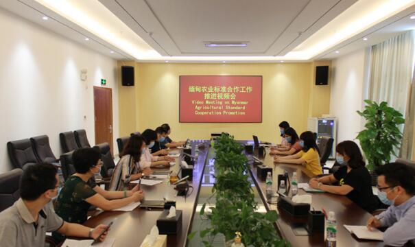 廣西深入推動中國—緬甸農業標準融合
