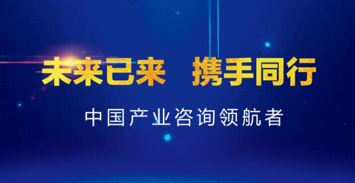 深圳做可行性研究報告公司單位-中金普華產業研究院