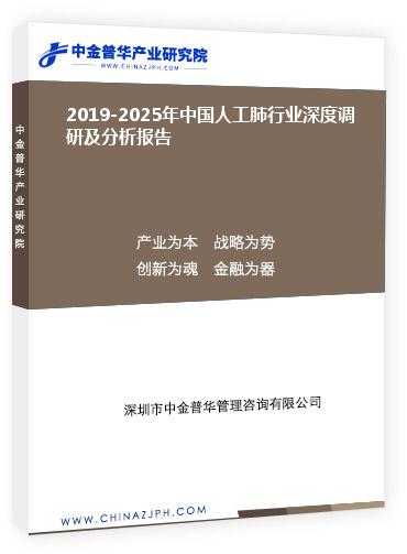 2019-2025年中國人工肺行業深度調研及分析報告