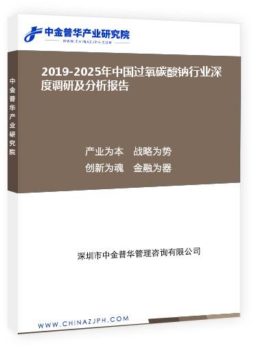 2019-2025年中國過氧碳酸鈉行業深度調研及分析報告