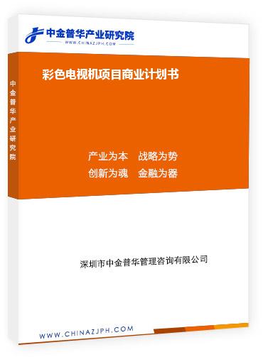 彩色電視機項目商業計劃書