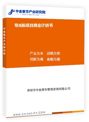 導光板項目商業計劃書